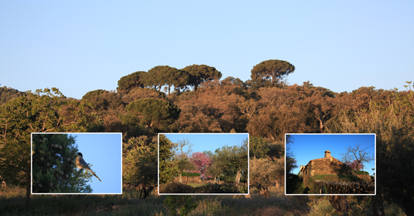 Landschap achter de Finca